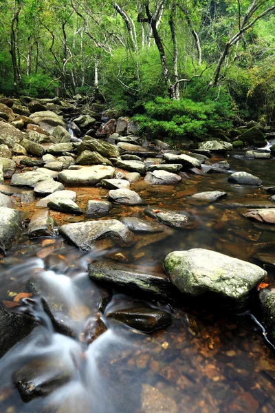Hermosa fuente de agua en el bosque —  Fotos de Stock