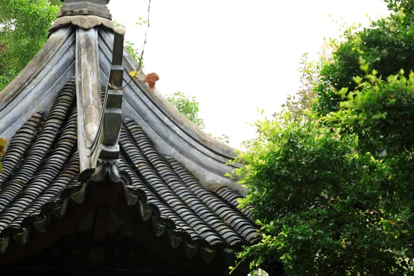 Çin yapı saçak — Stok fotoğraf