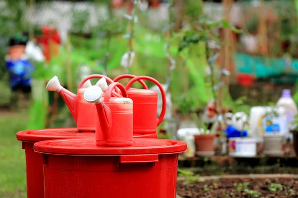 Plastic watering can in garden — Stock Photo, Image