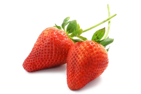 Două căpșuni — Fotografie, imagine de stoc