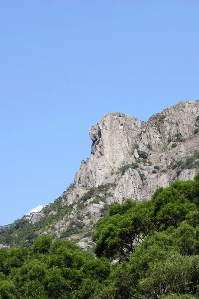 Roca León — Foto de Stock