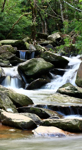 stock image Water spring in forest