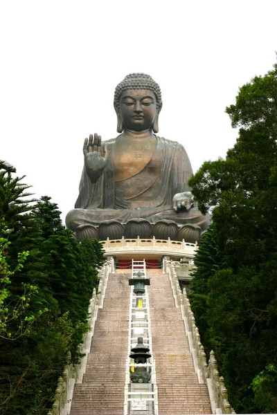 Tian tan buddha — Stock fotografie