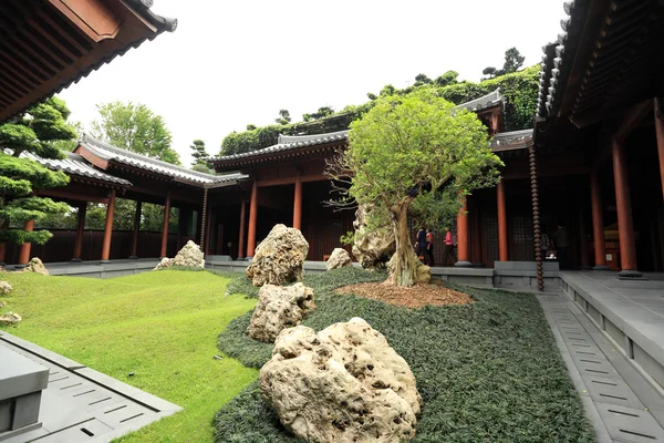 중국 정원 — 스톡 사진