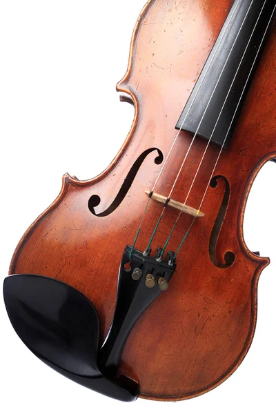 Violino isolato su bianco — Foto Stock