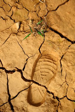 Dried land with step print and grass clipart