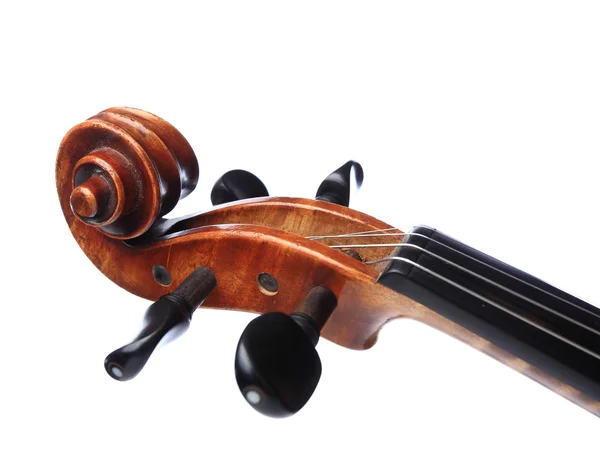 Cabeça de violino — Fotografia de Stock