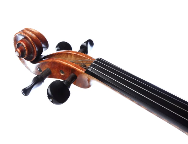 Голова скрипка — стокове фото