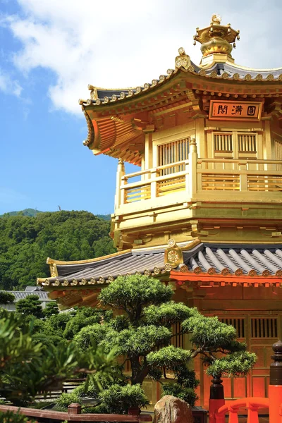 Zlatý pavilon v chi lin klášter, hong kong — Stock fotografie