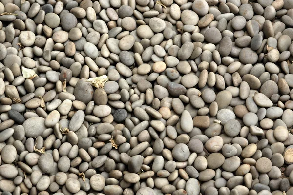 Round peeble stones background — Stock Photo, Image