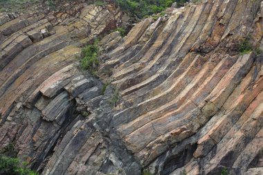 Hong kong geopark, doğal altıgen sütun duvar resmi