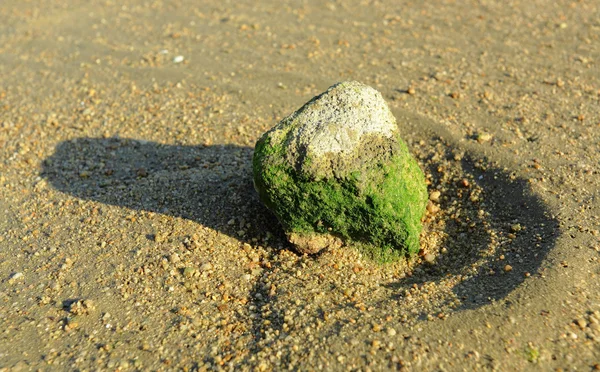 Rock on beach — Stock Photo, Image