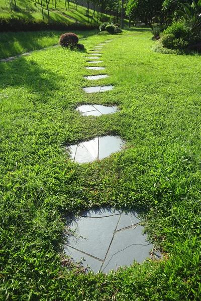 Path on grass field — Stock Photo, Image