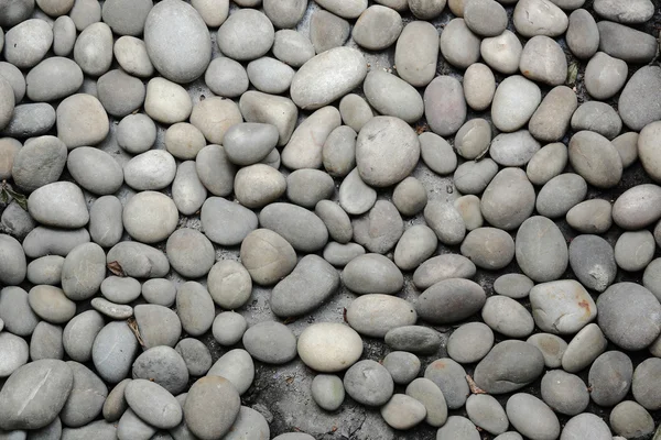 Fondo abstracto con piedras peeble redondas — Foto de Stock