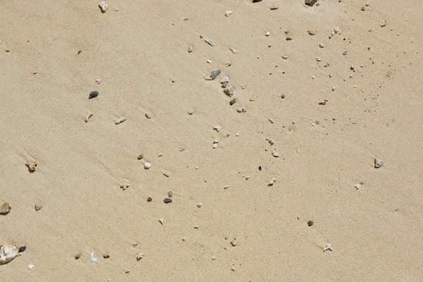 砂のビーチで — ストック写真
