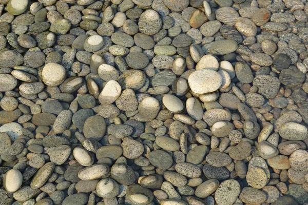 Suyun taşlarla peeble — Stok fotoğraf
