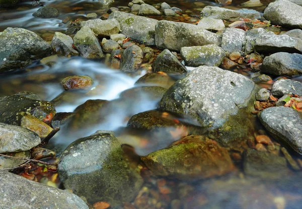 물 봄 — 스톡 사진