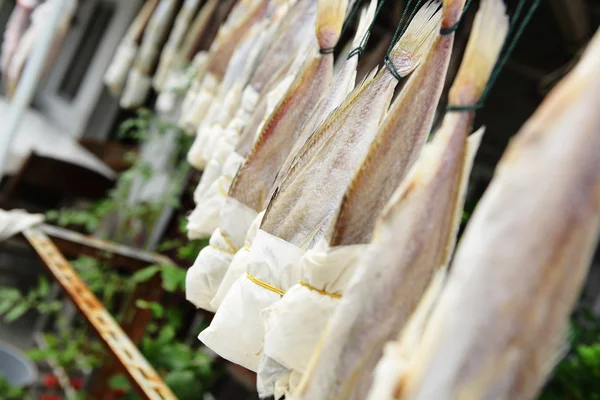 Sušené slané ryby — Stock fotografie