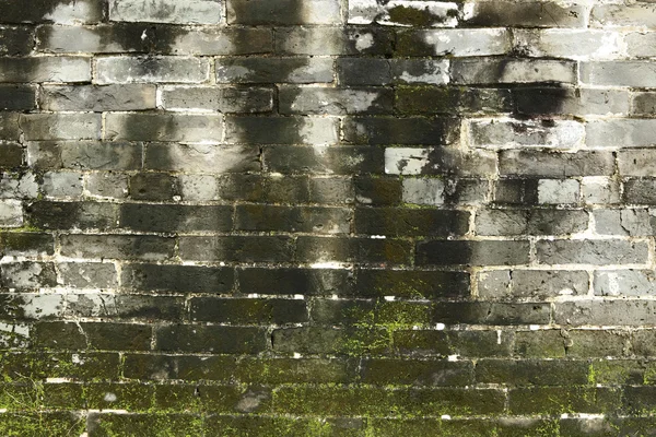 Oude chinese blauwe bakstenen muur — Stockfoto