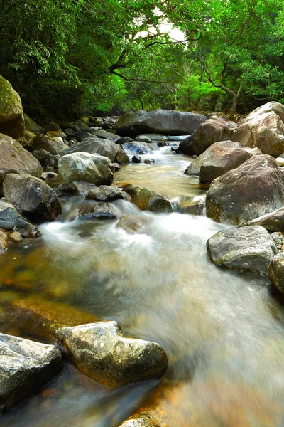 Pramen vody v džungli — Stock fotografie