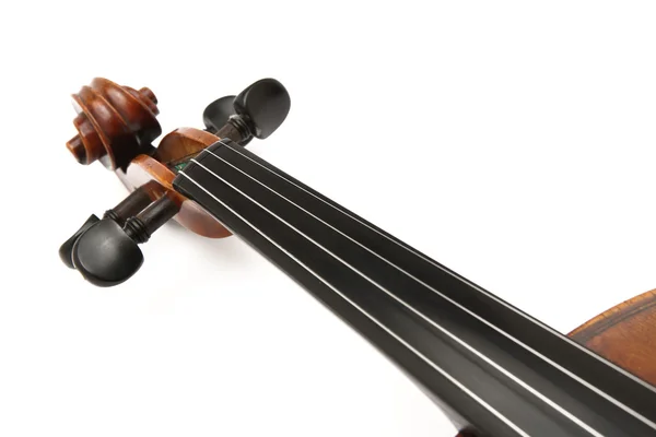 Testa di violino — Foto Stock