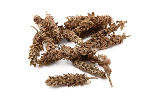 Chinese herb, prunella vulgaris — Stock Photo, Image