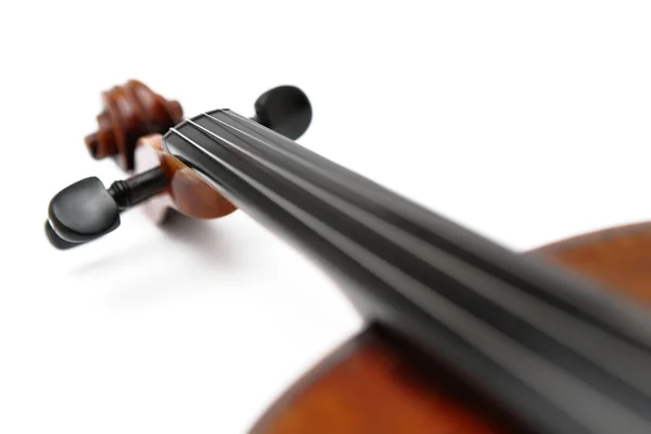 Geigenkopf — Stockfoto