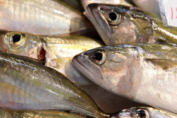 बाजारात विक्रीसाठी मासे — स्टॉक फोटो, इमेज