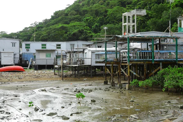 Tai o ψαροχώρι με ξυλοπόδαρο σπίτι στο Χονγκ Κονγκ — Φωτογραφία Αρχείου