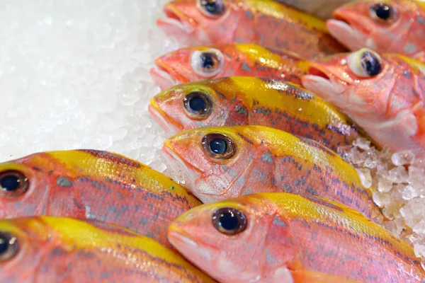 Fish for sale in market — Stock Photo, Image