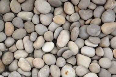 Pebble stone clipart