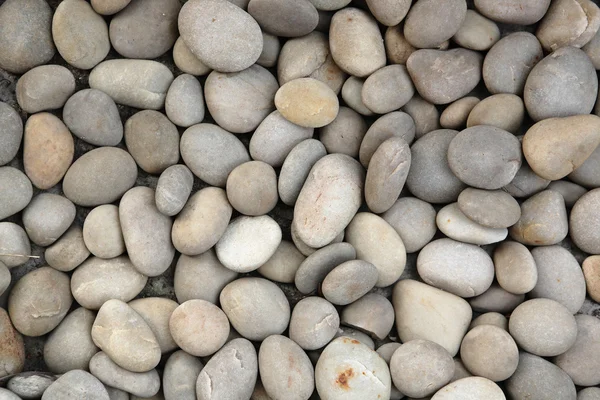 Πέτρας χαλικιών — Φωτογραφία Αρχείου