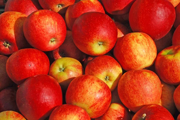 stock image Sale of red, ripe apples on a market