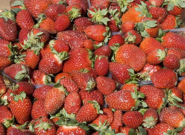 stock image Strawberry