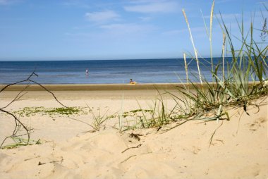 Dunes Riga Körfezi kıyısında