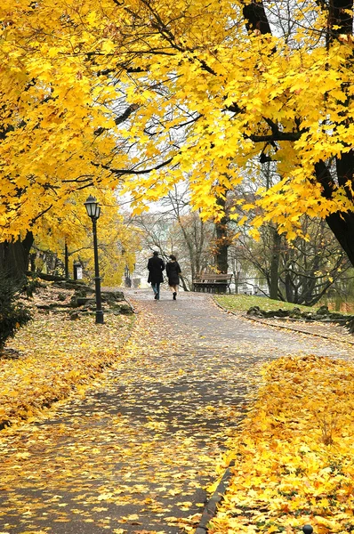 Cadde üzerinde yaprak sonbaharda sonbahar