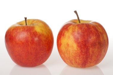 iki kırmızı elma