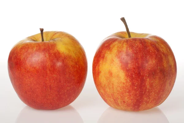 stock image Two red apples