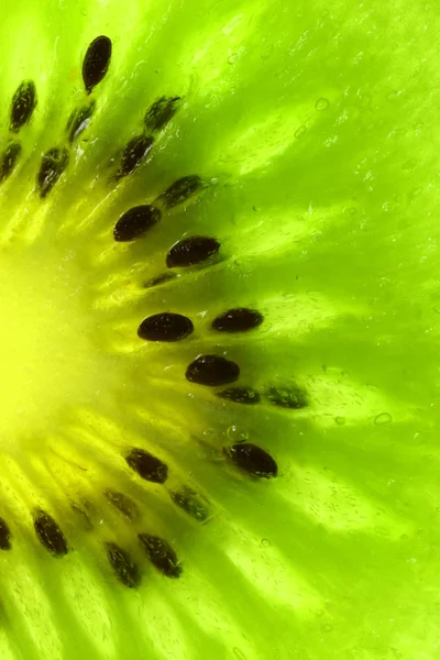 stock image Kiwi Slice