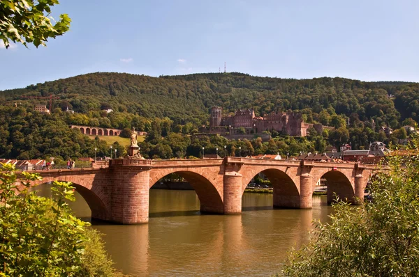 Oude brug feat. Kasteel van Heidelberg — Stockfoto