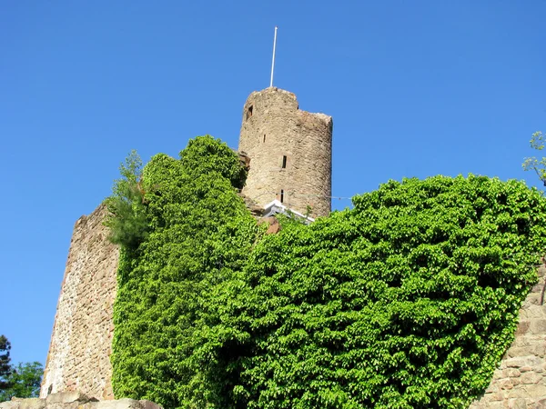 Château de Windeck — Photo