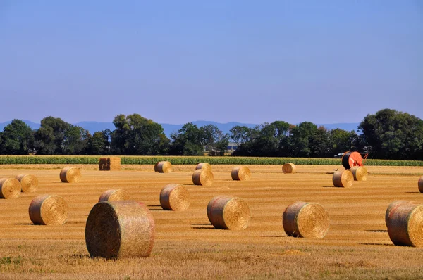 stock image Straw bales in fall