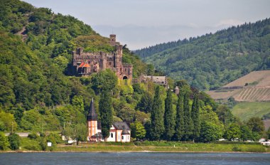 Reichenstein castle in famous rhine vall clipart
