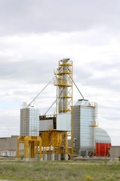 Grain drying — Stock Photo, Image