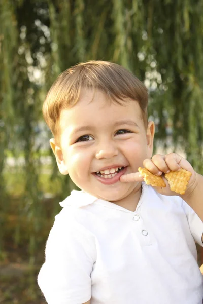 Хлопчик з печивом — стокове фото