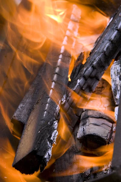 stock image Fire wood on fire