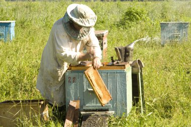 Work of the beekeeper clipart