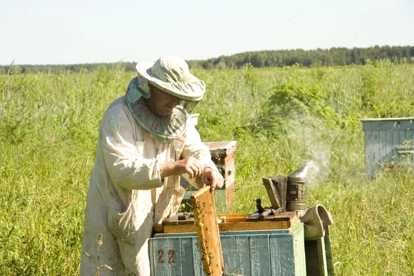 Work of the beekeeper — Stock Photo, Image