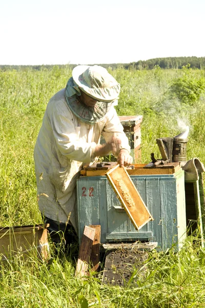 The beekeeper works