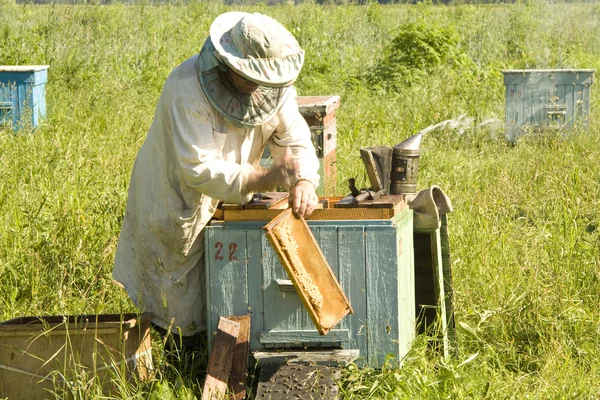 Работа пчеловода — стоковое фото